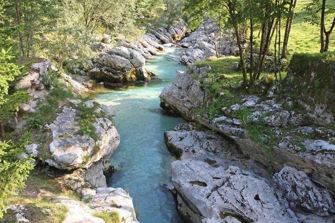 Moški se je poskušal uloviti, a kljub temu padel čez previs v strugo Soče. Foto: Arhiv Dela