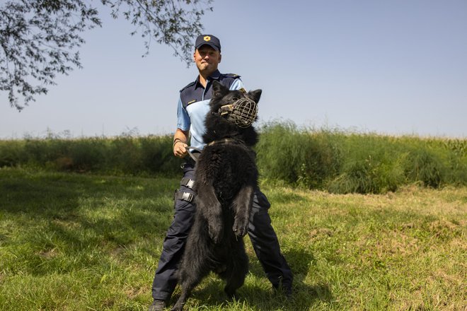 Kevin in njegov vodnik Borut Šurla sta že vrsto let nerazdružljiva. FOTO: Voranc Vogel