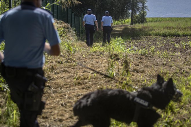 Službeni psi so pomembni tako pri iskanju in sledenju kot tudi med postopkom zajetja. FOTO: Voranc Vogel