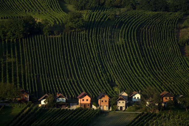 Ob prazničnem razpoloženju noče kazati s prstom in iskati odgovornih za razvojni zaostanek Pomurja; bolje je rešitve, bodo generacije zanamcev na tem koščku slovenske zemlje lahko uresničile svoje sanje in razvile svoje talente.&nbsp; FOTO: Voranc Vogel&nbsp;