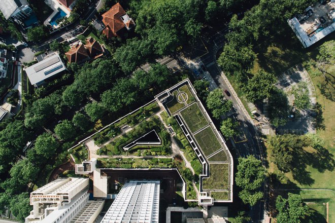 Zelene strehe so v številnih mestih prej pravilo kot izjema, njihova namembnost pa je zelo različna. Na fotografiji primer igrišč in parka v Singapurju. Foto Chuttersnap/Unsplash