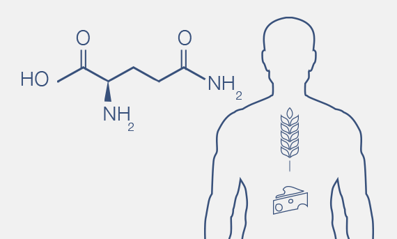 Prehranski vnos glutamina (dodatna oskrba) je tako pomemben predvsem v stanjih stresne presnove (bolezni, telesni napor).