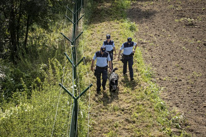 Policistom v redni sestavi pri nadzoru pomagajo tudi pomožni policisti. FOTO: Voranc Vogel