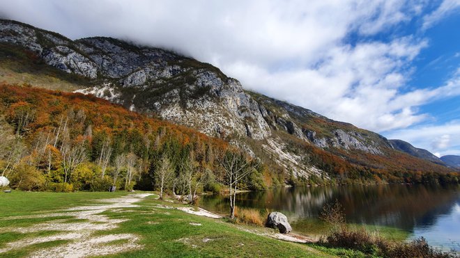 Bela pot, vodi nas ... FOTO: Mitja Ravnikar