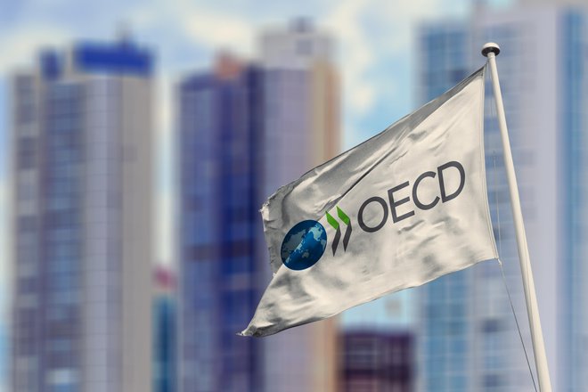 OECD je ublažil napovedi o letošnjem gospodarskem padcu. FOTO: Rafapress Shutterstock