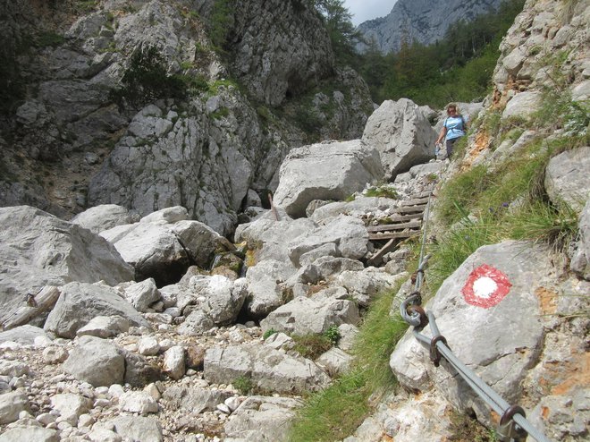 Od konca Logarske doline do vrha Okrešlja je okoli uro hoda. FOTO: Špela Kuralt/Delo