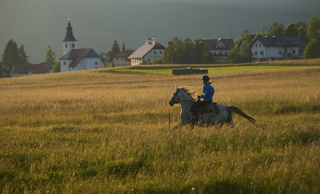 Pozitivna plat dela od doma je, da zaposlenim omogoča rekreacijo med delovnikom, težava pa je, da niti z najhitrejšim konjem zaposleni ne more ubežati delovnim obveznostim, ki ga bodo pričakale doma. FOTO: Primož Zrnec/Delo