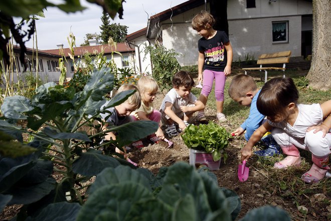 Danes so razmere drugačne, kot so bile v prejšnjih časih, ko so otroci odhajali k starim staršem na deželo, k staršem v delavnice, delat v vrtove, so se zaposlili z delom na kmetih &hellip; Foto Blaž Samec/Delo