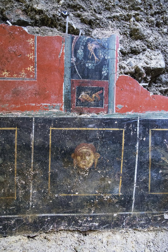 Pod Muzejskim trgom so odkrili pravo razkošje. Freske so krasile razkošno okrašen in s stebriščem opremljen notranji vrt rimske vile. FOTO: arhiv PMC