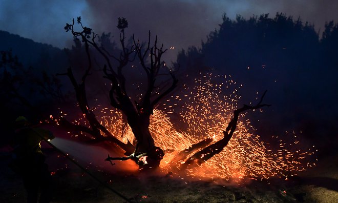 Požar Bobcat gori že od 6. septembra. FOTO: Frederic J. Brown/AFP