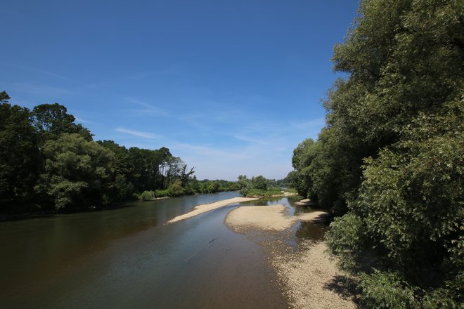 Mura je najbogatejše območje Nature 2000 v Sloveniji in takšna naj tudi ostane. Fotografiji Jože Pojbič