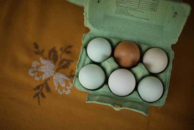 Osnovni posel Meje Šentjur je pridelava jajc, kjer pa jim tržni delež pada. FOTO: Jure Eržen/Delo