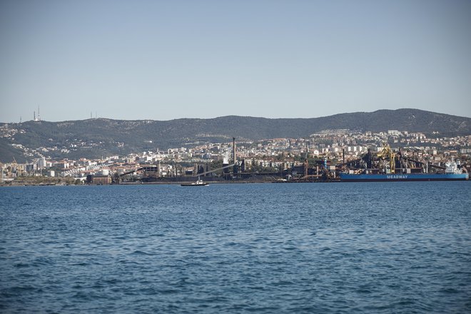 V tržaško pristanišče bodo predvidoma vstopili Nemci.&nbsp; Foto Uroš Hočevar/Delo