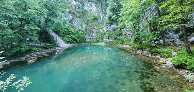 Slavno in skrivnostno Divje jezero pri Idriji FOTO: Jakob J. Kenda