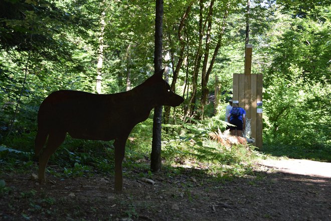 Drvošec bo še posebej všeč mladeži, saj lahko na poti spoznajo živali tega območja, od medveda, volka in risa do netopirjev in številnih ptic. FOTO: Jana Mihelčič