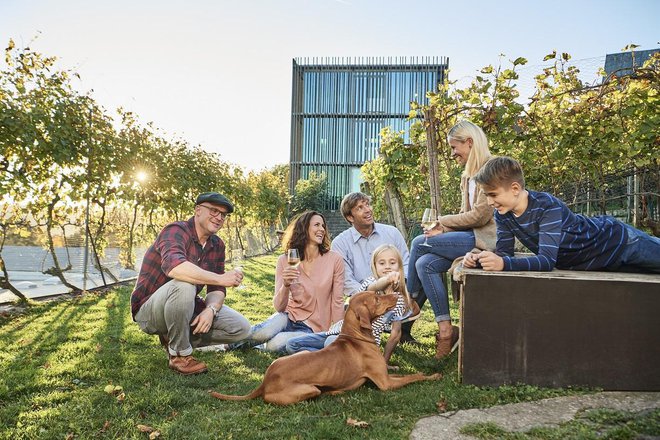 Vinska pokušina v kleti am Stein v Würzburgu &copy; DZT Foto Jens Wegener