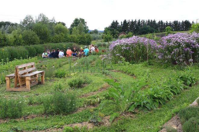 Pospeševanje prodaje domačih inovativnih izdelkov spodbuja domače gospodarstvo, pripomore k večji samopreskrbi in pomaga ohranjati poseljenost krajine. FOTO: Tomi Lombar/Delo