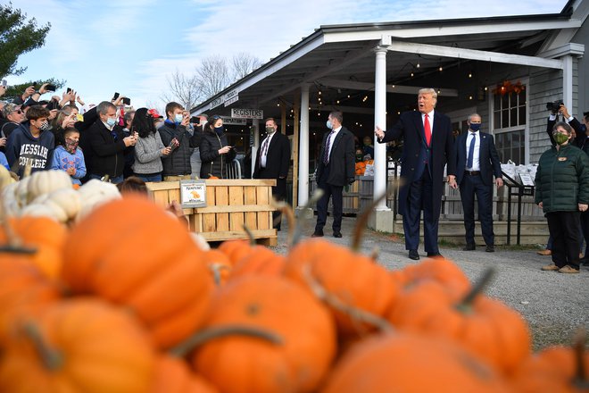 Trump in njegove bučke. FOTO: Mandel Ngan/Afp