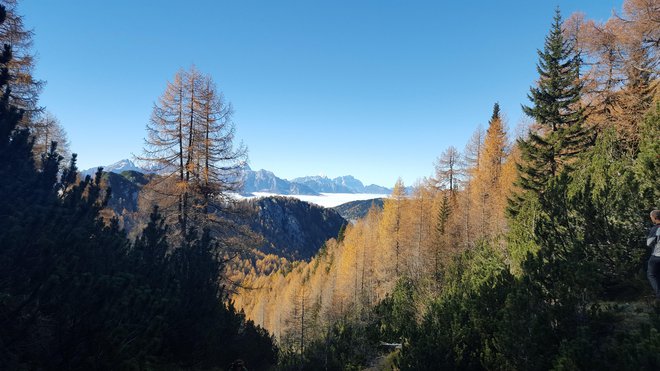 Posamezne planinske koče ob vikendih odprejo svoja vrata, ni pa to pravilo. FOTO: Matjaž Šerkezi