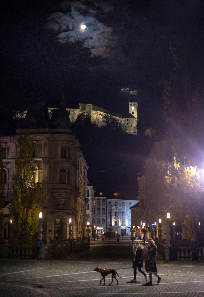 Na posebni številki policije prejemajo največ vprašanj v zvezi z ukrepi omejevanja gibanja, v minulih mesecih pa predvsem glede prehajanja državne meje. Postavljali so jih tudi tuji državljani. Foto Matej Družnik