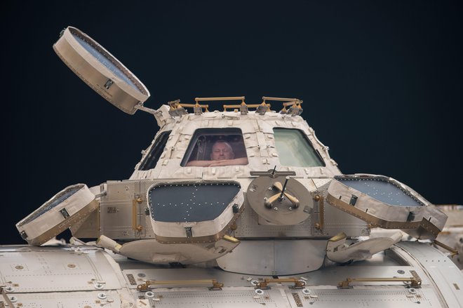 Ameriški astronavt Barry Wilmore, član 42. odprave na Mednarodno vesoljsko postajo, se med enim redkih prostih trenutkov sprošča ob razgledu iz znamenite 360-stopinjske kupole. FOTO: Barry Wilmore/Nasa