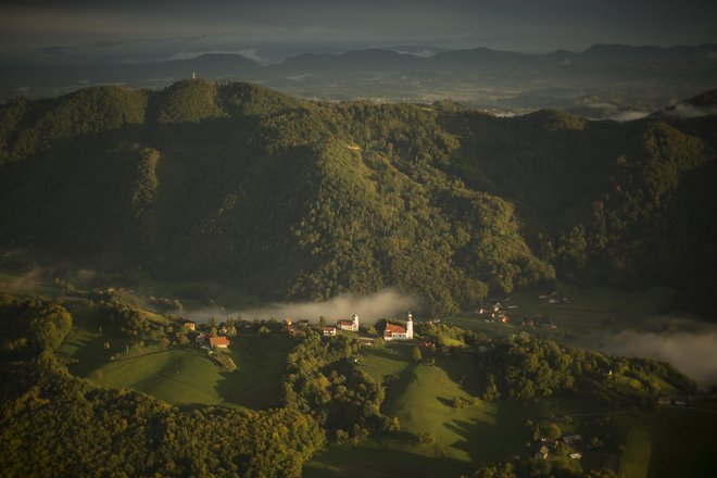 V preteklih nekaj letih je bilo v Avstriji in sosednjih državah zaradi vremenskih katastrof poškodovanih 60 odstotkov gozdov. FOTO: Jure Eržen/Delo