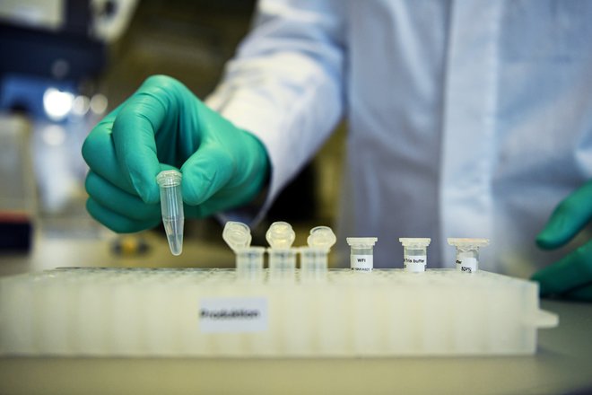 Pri podjetju CureVac nameravajo zadnjo fazo testiranja cepiva proti koronavirusu začeti pred koncem leta. FOTO: Andreas Gebert/Reuters