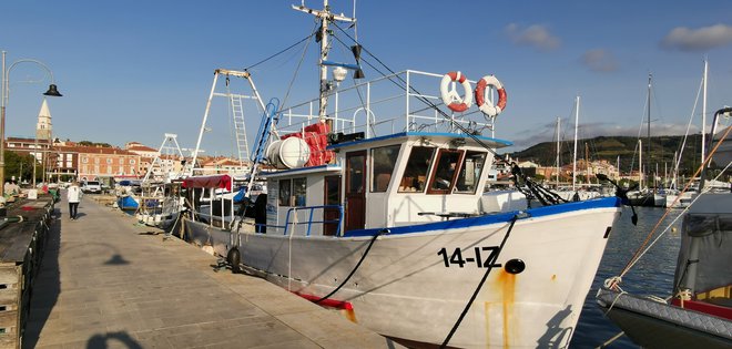 Ribiški pomol bo samo za ribiče. FOTO: Boris Šuligoj/Delo