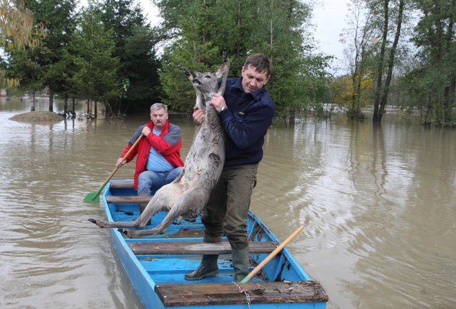 Pred osmimi leti je Drava v tem času poplavljala od Dravograda do meje s Hrvaško. Lokalne skupnosti, posamezniki in podjetja za visoko vodo krivijo Verbund, zato od njega na sodiščih terjajo odškodnino.<br />
Foto Tadej Regent