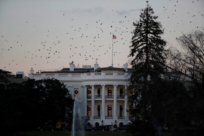 Bela hiša. FOTO: Jim Young/Reuters