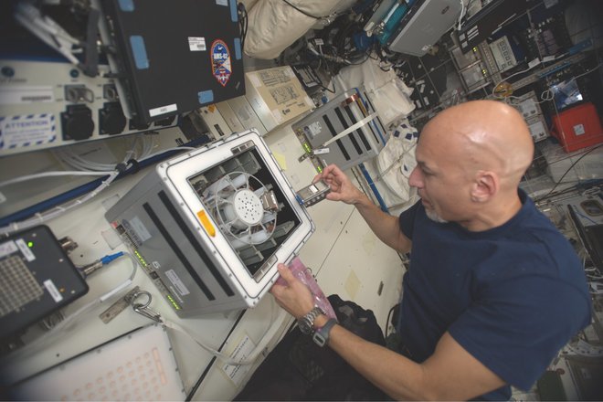 Astronavt Luca Parmitano pri centrifugi na ISS. FOTO: ESA