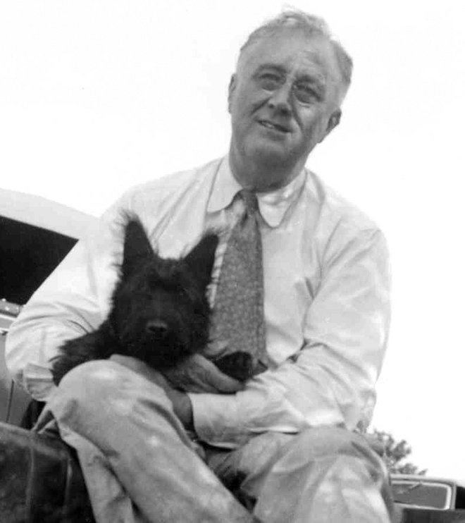 Škotski terier Fala in Franklin Delano Roosevelt FOTO: Wikipedija