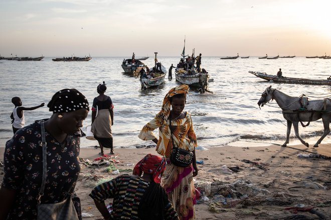 Mbour v Senegalu je pristaniško mestece, iz katerega se obubožani Senegalci podajajo na tvegano pot proti Kanarskim otokom in Evropi. FOTO: John Wessels/AFP