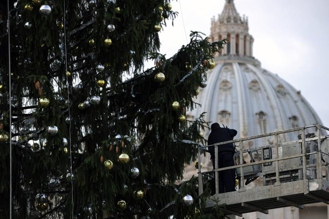 Božično drevo vsako leto Vatikanu podari druga država ali regija. FOTO: Gabriel Bouys/AFP