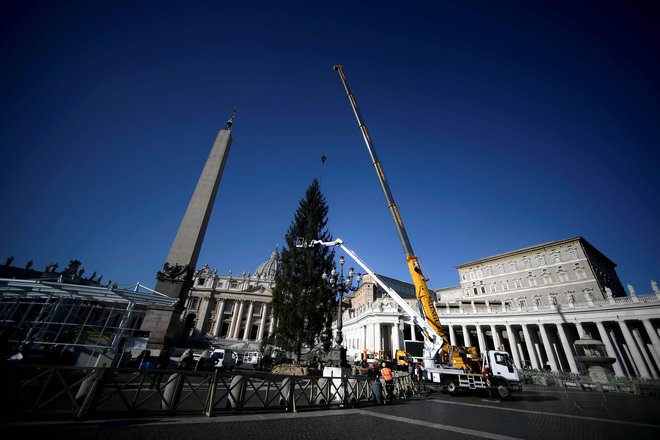 Drevo bodo slovesno osvetlili 11. decembra popoldne. FOTO: Filippo Monteforte/AFP