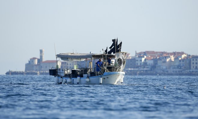 Slovenskim ribičem, ki nimajo večjih plovil, se ribolov v odprtem morju že zdaj večinoma ne izplača.<br />
Foto Matej Družnik