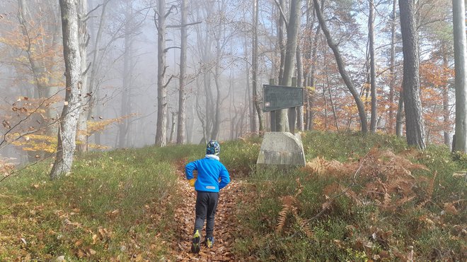 Tudi otroci učitelja športa Mihe Juvana nabirajo višinske metre. FOTO: Miha Juvan