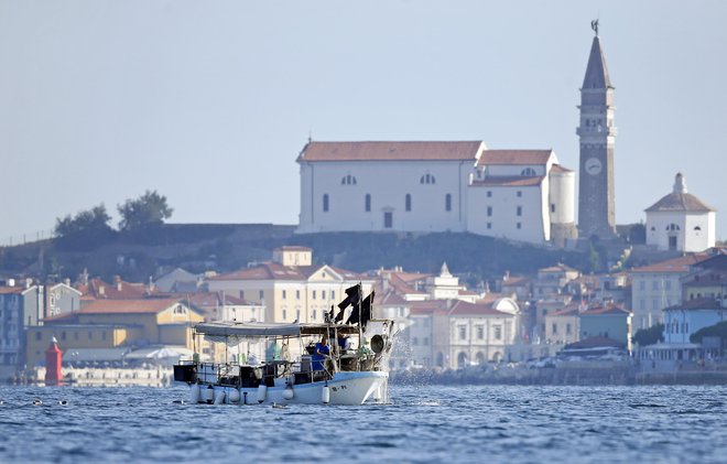 Hrvaška zagotavlja Sloveniji svobodno plovbo, prelet letal, polaganje podmorskih kablov in cevi ter druge mednarodnopravno dopustne uporabe morja. Foto: Matej Družnik