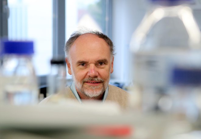 Prof. dr. Roman Jerala, vodja Laboratorija za biotehnologijo na Kemijskem inštitutu v Ljubljani in sodelavec Univerze v Ljubljani. Foto: Dejan Javornik