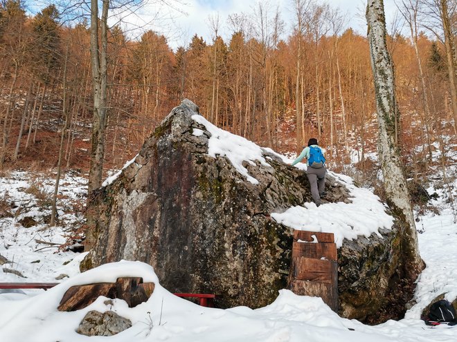 Turška noga in na njej skala z odtisom. FOTO: Anja Intihar/Delo