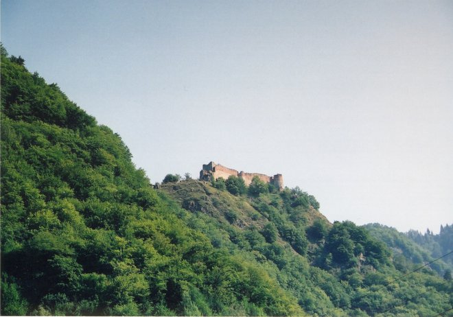 Iz vasice Capatineti se vidijo ruševine gradu Poenari. FOTO: Alen Steržaj