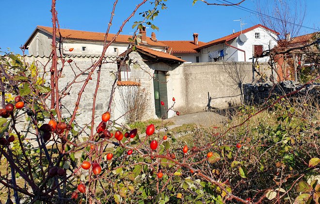 V Sturmanovih zgodbah ostaja tudi precej zamolčanega, neizrečenega; sklepamo, da je tišina potemtakem bolj povedna, kot bi bila nadrobna razlaga ali opis.FOTO: Marko Feist&nbsp;