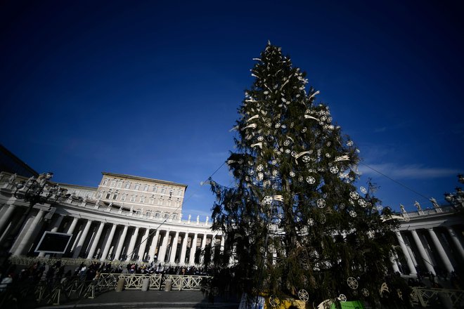 Slovensko božično drevo že vse od začetka meseca krasi Trg sv. Petra v Vatikanu. Foto Filippo Monteforte/AFP