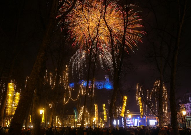 Virusi na žalost ne spoštujejo koledarja. FOTO: Matej Družnik