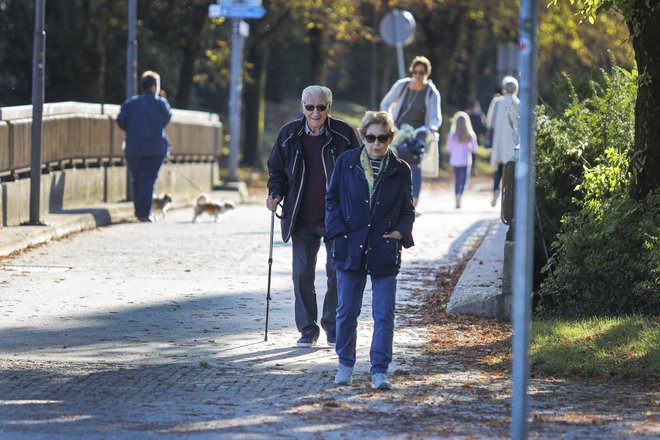 Zakon (ZPIZ-2) ljudi spodbuja, naj delajo dlje, a protikoronski paket PKP7 nasprotno napoveduje, da bodo po novih &raquo;protikriznih&laquo; predlogih delavce lahko na hitro upokojili. FOTO: Jože Suhadolnik/Delo