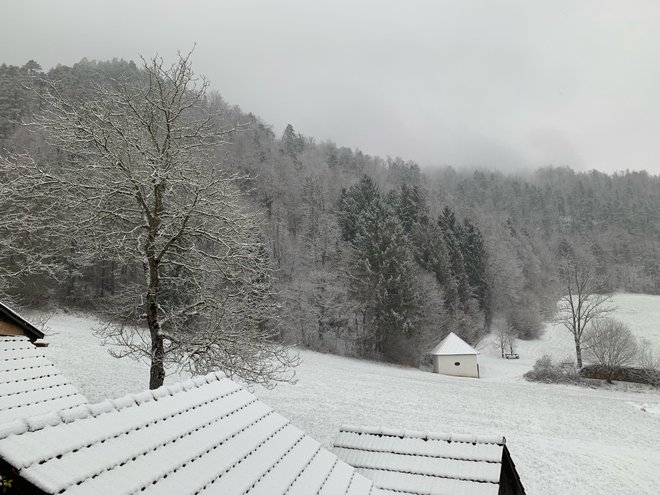 Sneg je že dopoldan pobelil osrednji del Slovenije. Fotografija je nastala v Polhovem Gradcu. FOTO: G. Z.