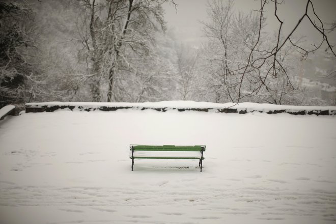 Dobra polovica Evropejcev živi v hišah, večina hiš pa ima kos vrta. FOTO:&nbsp;Jure Eržen/Delo