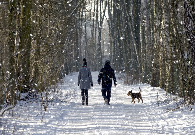 Gibanje v naravi je jamstvo za dobro počutje. FOTO: Shutterstock