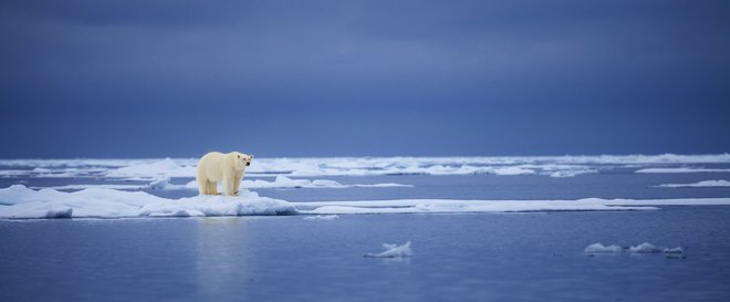 Podnebne spremembe so manj očitne in grozeče od pandemije, zato so se lani umaknile z naslovnic, a na dolgi rok se jim ne bo mogoče izogniti. FOTO: Shutterstock
