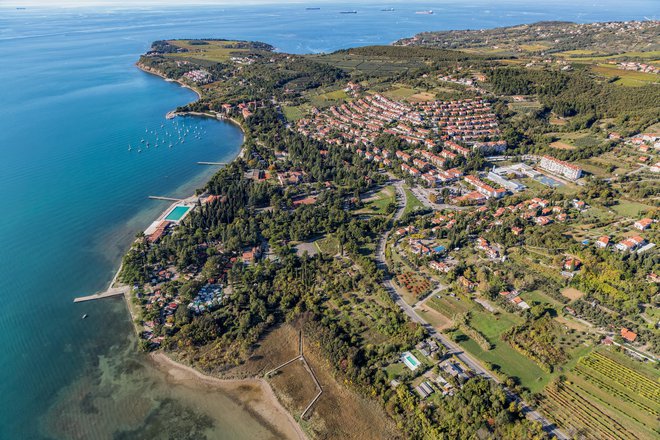 V ankaranskem občinskem prostorskem načrtu so namesto pretekle razpršene gradnje zastavili strnjeno širitev naselja. FOTO: Jaka Ivančič/Občina Ankaran